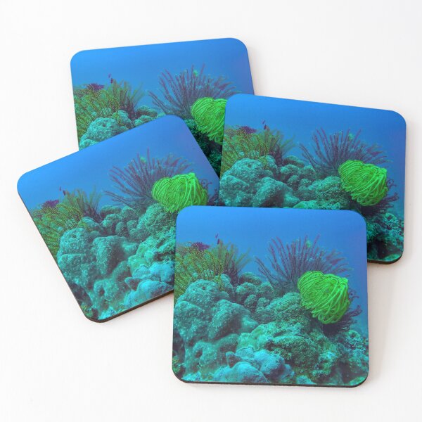 Item preview, coral reefs designed and sold by likbatonboot.