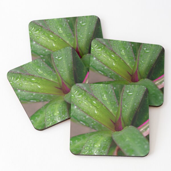 Item preview, green ornamental plant designed and sold by likbatonboot.