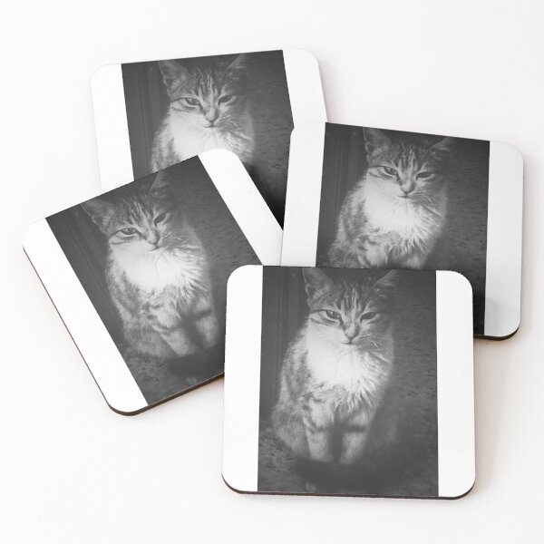 Item preview, cute cat in black and white  designed and sold by YAHIA-14.