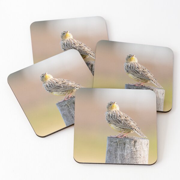 Item preview, Quizzical Meadowlark by Debra Martz designed and sold by Debra Martz.