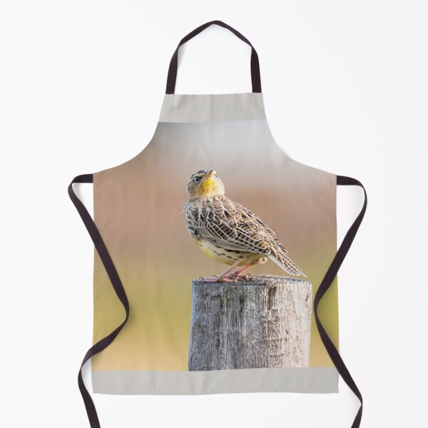 Item preview, Quizzical Meadowlark by Debra Martz designed and sold by Debra Martz.