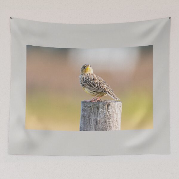 Item preview, Quizzical Meadowlark by Debra Martz designed and sold by Debra Martz.