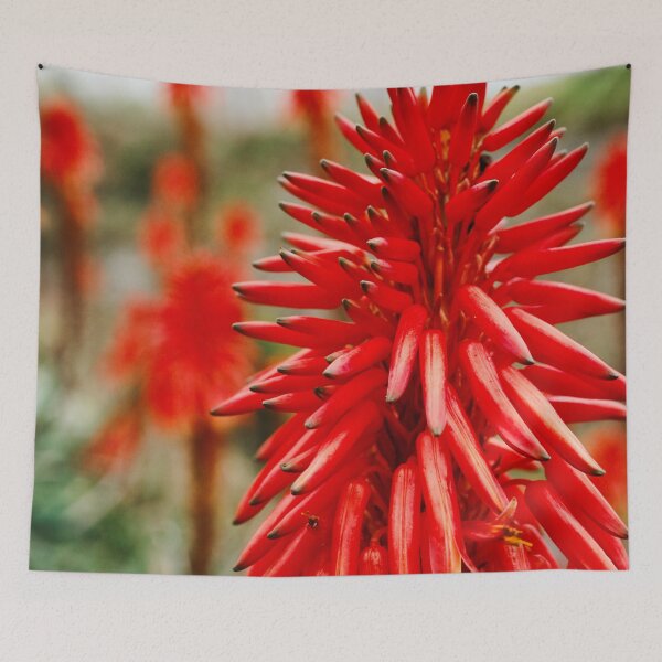 Artikelvorschau, Aloe Blumen entworfen und verkauft von Gaspar Avila.