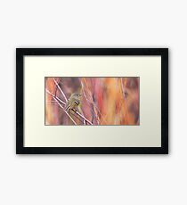 Ruby-crowned Kinglet Framed Print