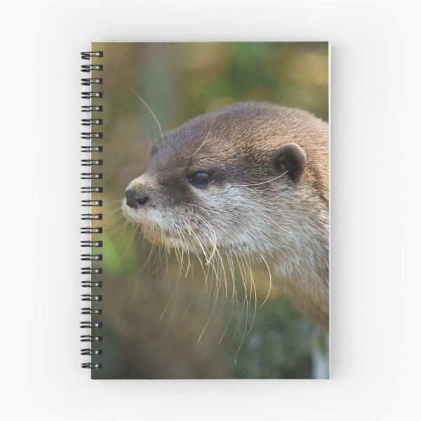 Item preview, Otter In The Sun designed and sold by rawshutterbug.