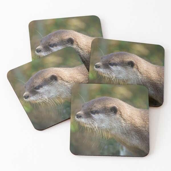 Item preview, Otter In The Sun designed and sold by rawshutterbug.