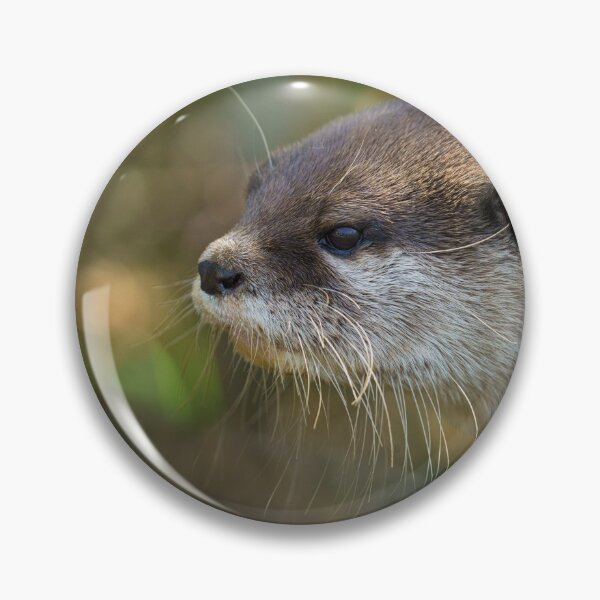 Item preview, Otter In The Sun designed and sold by rawshutterbug.
