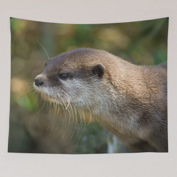 Item preview, Nutria al sol designed and sold by rawshutterbug.
