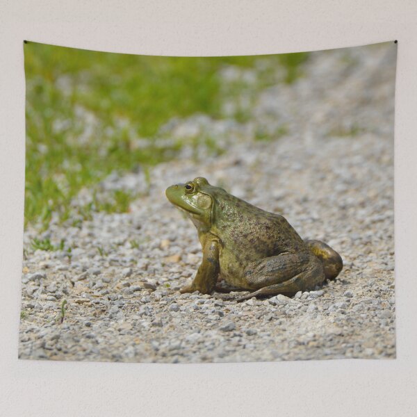 Item preview, Frog Crossing designed and sold by Drgnfly4free.