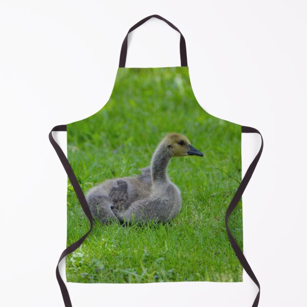 Aperçu de l'œuvre Gosling au repos créée et vendue par Drgnfly4free.