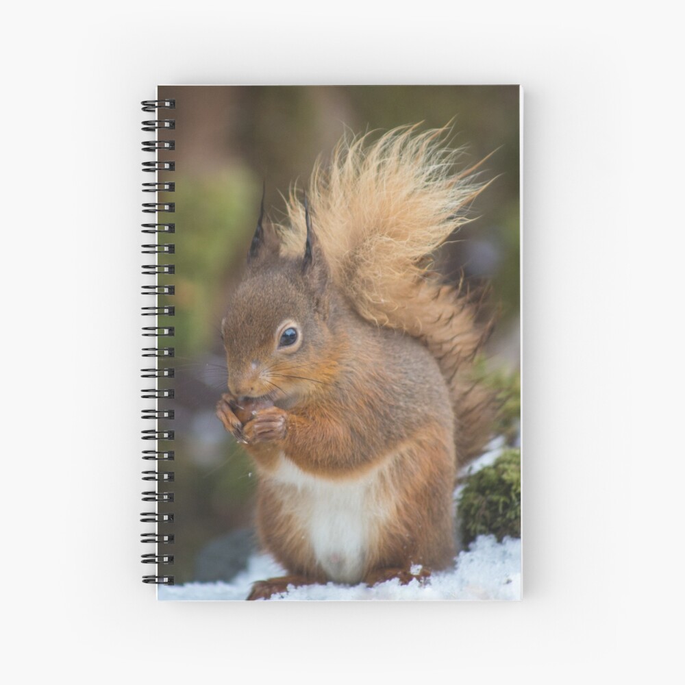 Item preview, Spiral Notebook designed and sold by davecurrie.