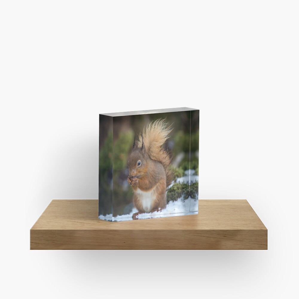 Item preview, Acrylic Block designed and sold by davecurrie.