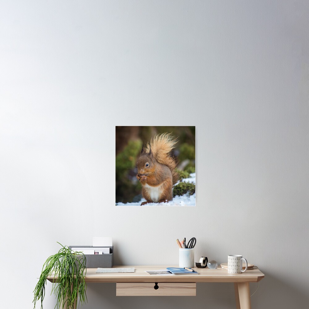 Item preview, Poster designed and sold by davecurrie.