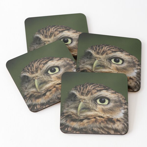 Item preview, Little Owl designed and sold by leephotoofyork.