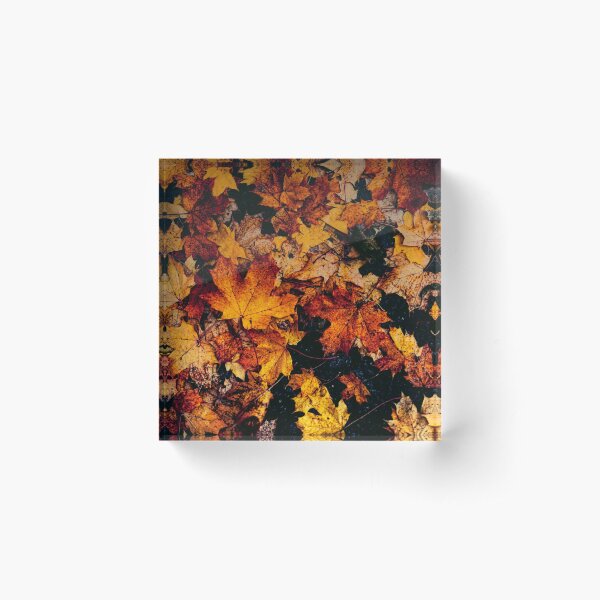 Item preview, Autumn colors designed and sold by SulkaCreative.