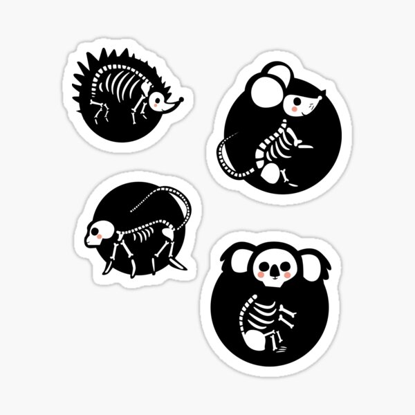 Item preview, Skeleton X-Ray Animal Collection 4 of 5 designed and sold by Nxt-Lvl-Awesome.