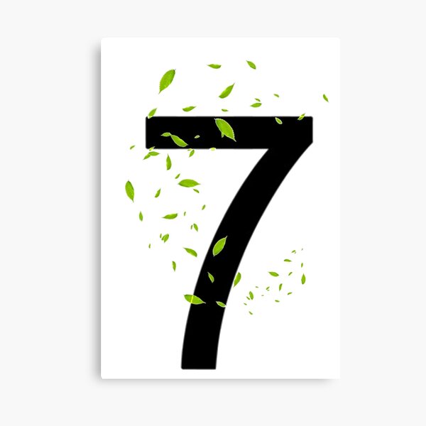District 7 Canvas Print