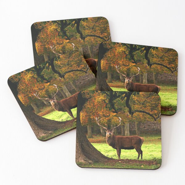 Item preview, Fountains Abbey Stag designed and sold by leephotoofyork.