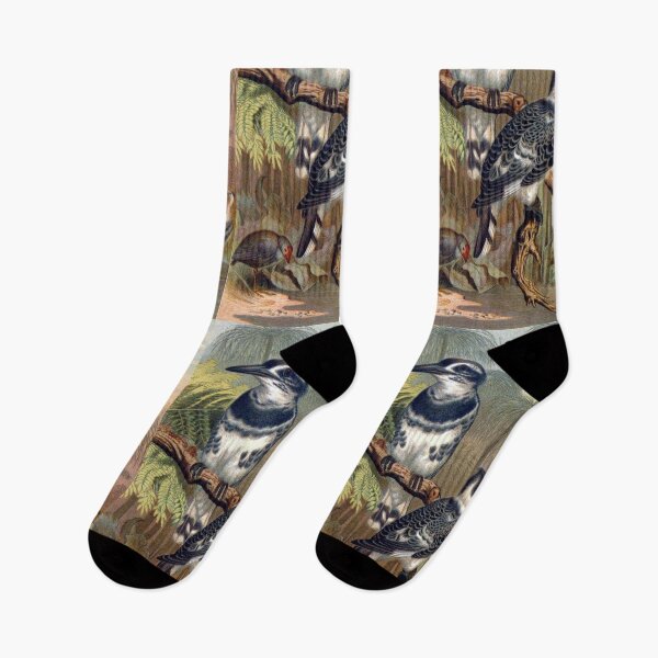 Item preview, Black and White Kingfisher illustration designed and sold by Vintage Designs +.