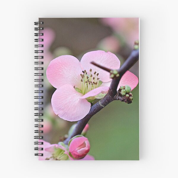Item preview, Portent of Spring designed and sold by John Thurgood.
