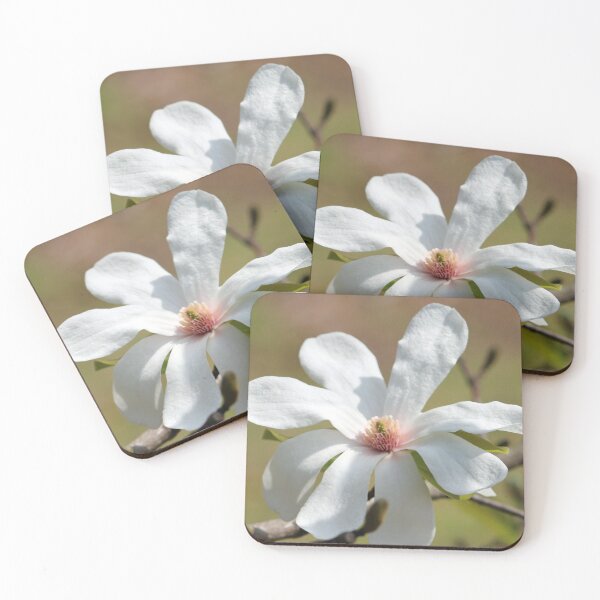 Item preview, Magnolia Blossom designed and sold by Cynthia48.