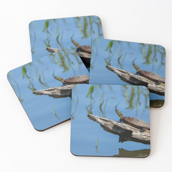 Item preview, Catching some rays designed and sold by Drgnfly4free.