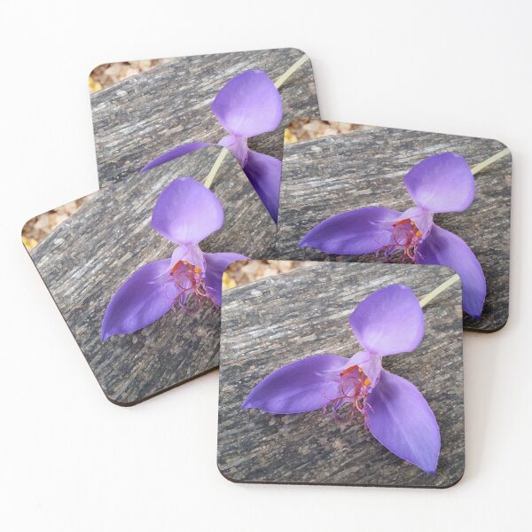 Item preview, Purple flower on a bench designed and sold by feiermar.