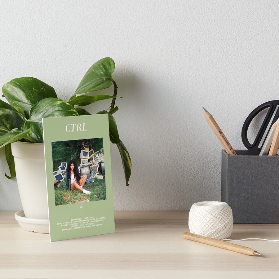 CTRL Art Board Print