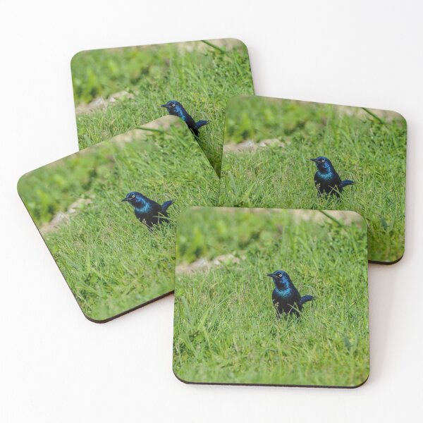 Item preview, Grackle designed and sold by Drgnfly4free.