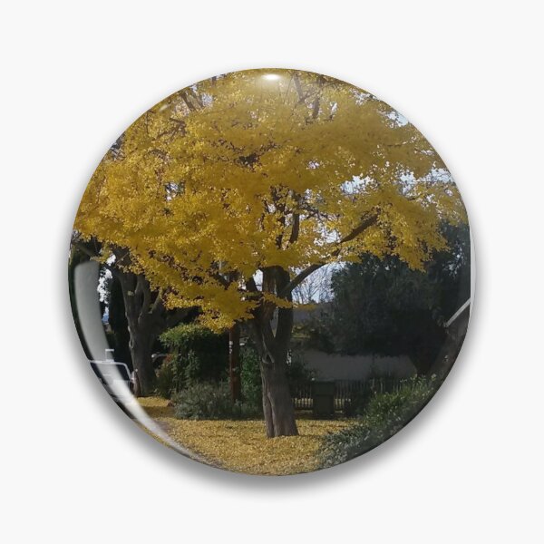 Artikelvorschau, Baum mit gelben Blättern im Herbst entworfen und verkauft von Ayadsan.