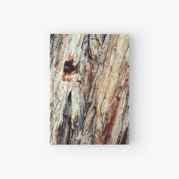 Yosemite Bark II Hardcover Journal