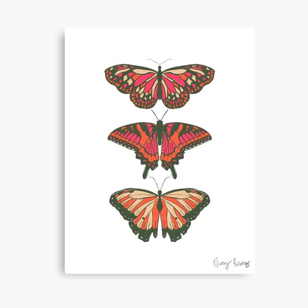 Butterflies Canvas Print