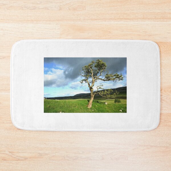 Item preview, Single tree in a landscape designed and sold by leephotoofyork.