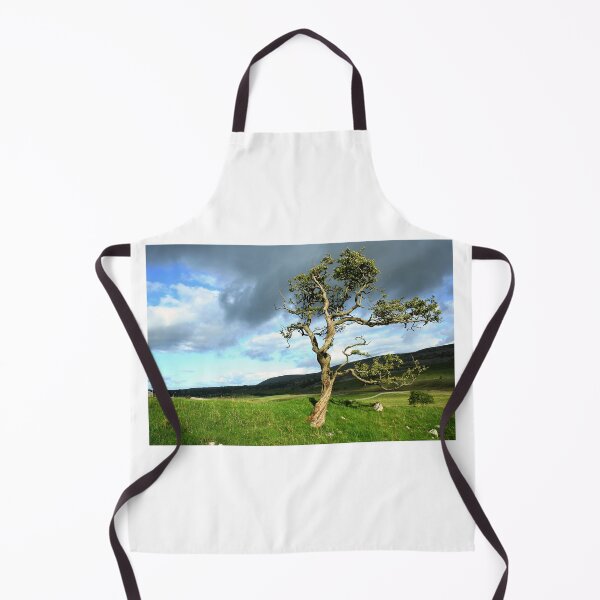 Item preview, Single tree in a landscape designed and sold by leephotoofyork.