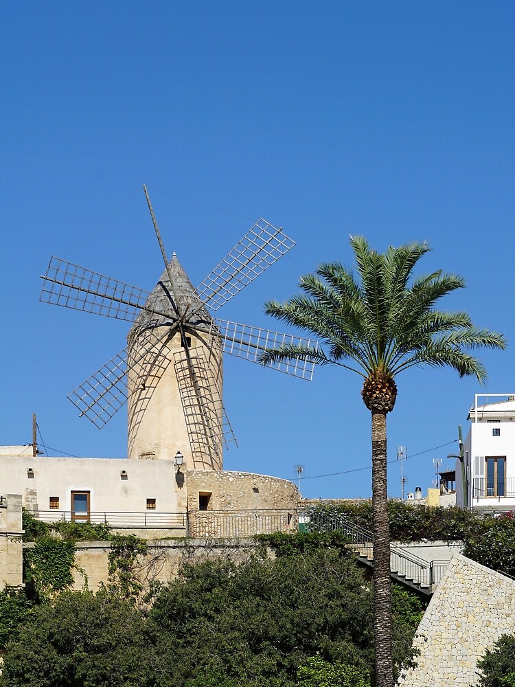 interior del molino de viento medieval