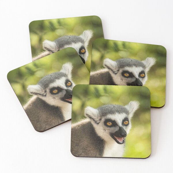 Item preview, Lemur laughs designed and sold by lauragatesphoto.