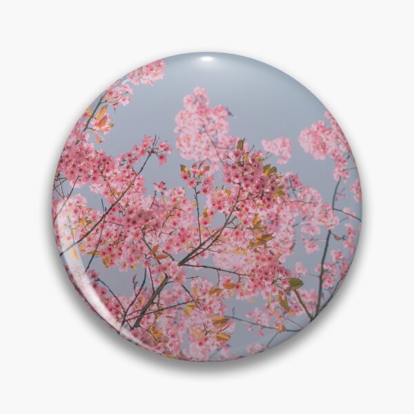 Aperçu de l'œuvre Sakura créée et vendue par alishen.