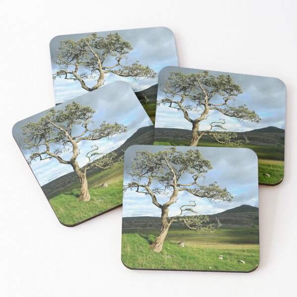 Item preview, Single tree in a landscape designed and sold by leephotoofyork.