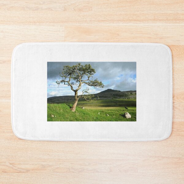 Item preview, Single tree in a landscape designed and sold by leephotoofyork.