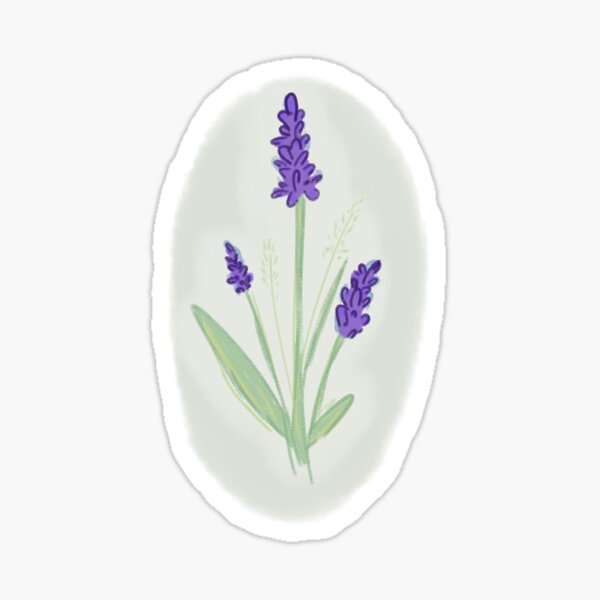 Lavender Plant Stickers | Redbubble