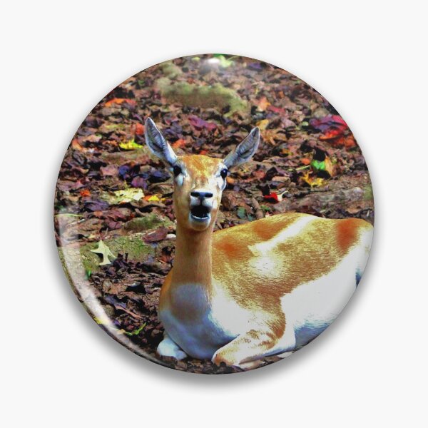 Item preview, Gazelle Enjoying Autumn designed and sold by Cynthia48.