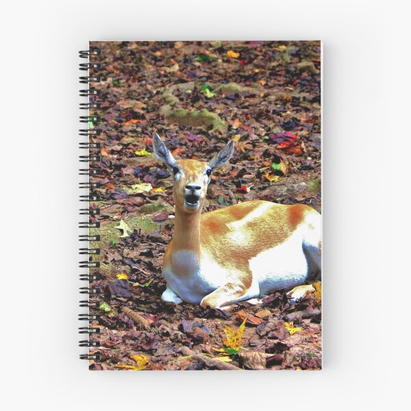 Item preview, Gazelle Enjoying Autumn designed and sold by Cynthia48.