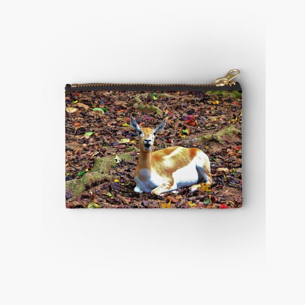 Item preview, Gazelle Enjoying Autumn designed and sold by Cynthia48.