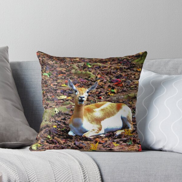 Item preview, Gazelle Enjoying Autumn designed and sold by Cynthia48.