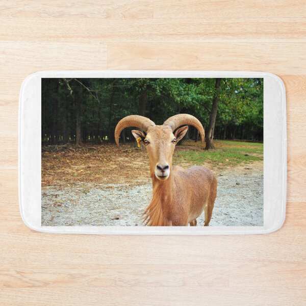 Item preview, Barbary Sheep designed and sold by Cynthia48.