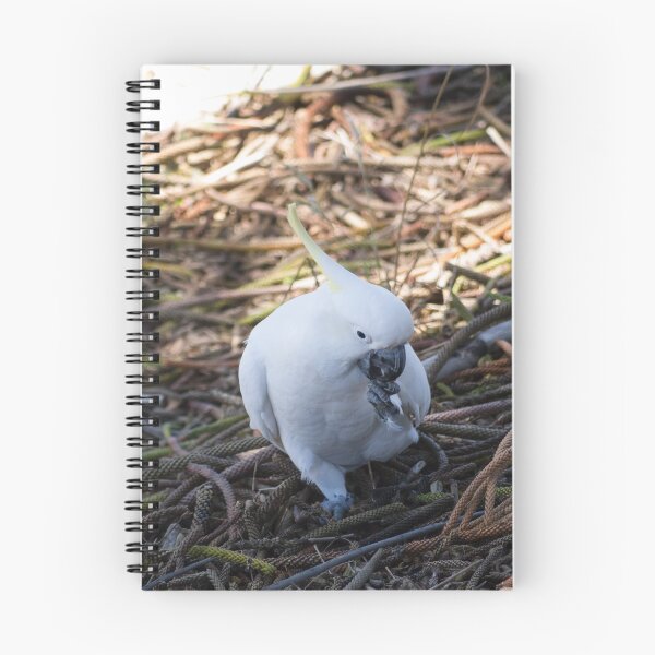 Item preview, Sulphur-crested cockatoo loving his pine nuts! designed and sold by RGKphotos.