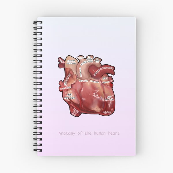 Item preview, Anatomy of the  Human Heart  designed and sold by Deathoftheself.