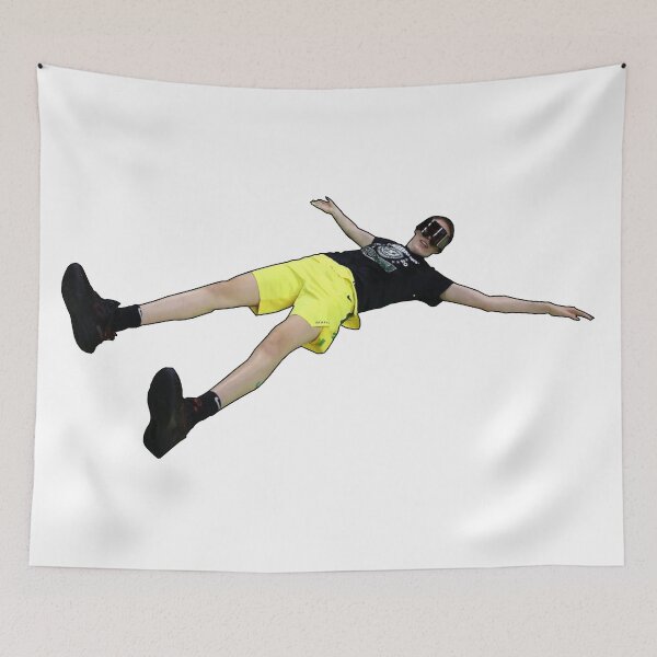 Item preview, Breanna Stewart designed and sold by mountainrangex.
