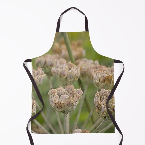 Item preview, Seedpods of an overblown Hogwood plant designed and sold by xophotography.