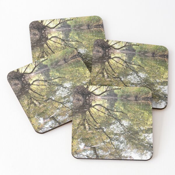Item preview, Beautiful Creek With Near Perfect Mirroring Reflections in the Water - Indian Creek in Overland Park designed and sold by Zen  Goat.